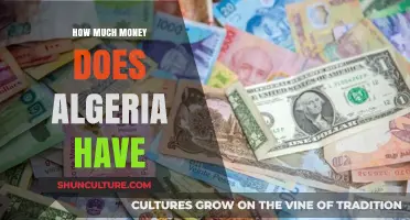Algeria's Wealth: Unveiling the Nation's Economic Reserves and Financial Standing