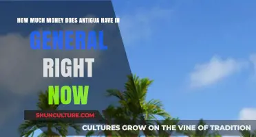 Antigua's Current Wealth: Assessing the Nation's Financial Standing Today