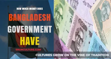 Bangladesh's Government Finances: Unveiling the Nation's Financial Reserves