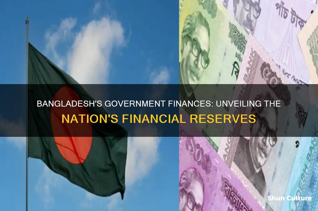how much money does bangladesh government have