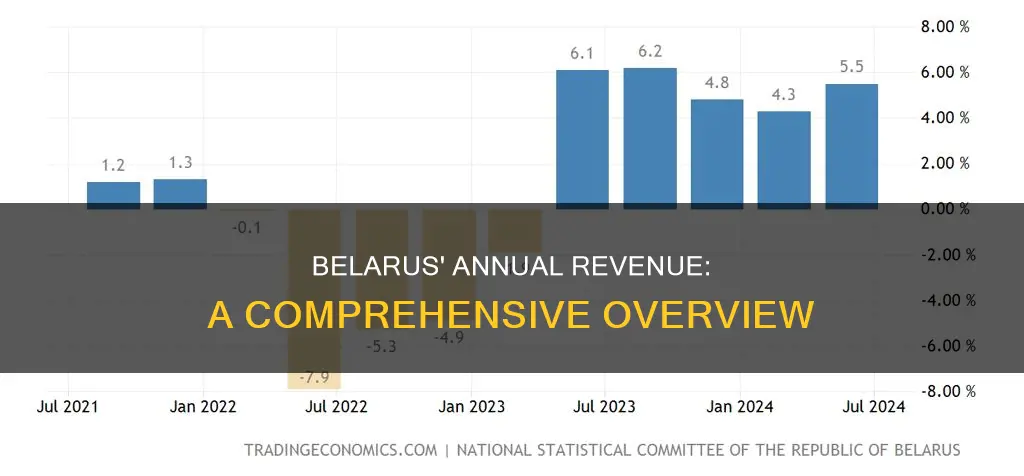 how much money does belarus make a year