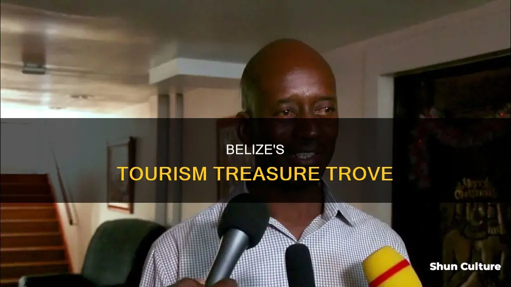 how much money does belize make from tourism