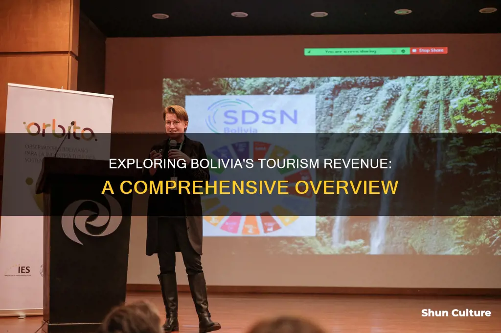 how much money does bolivia get from tourism