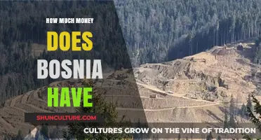 Bosnia's Wealth Unveiled: Exploring the Nation's Economic Resources and GDP
