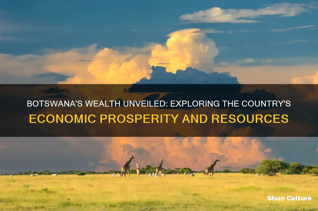 how much money does botswana have