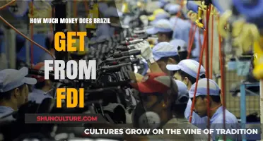 Brazil's FDI Inflows: Unlocking Economic Growth and Investment Potential