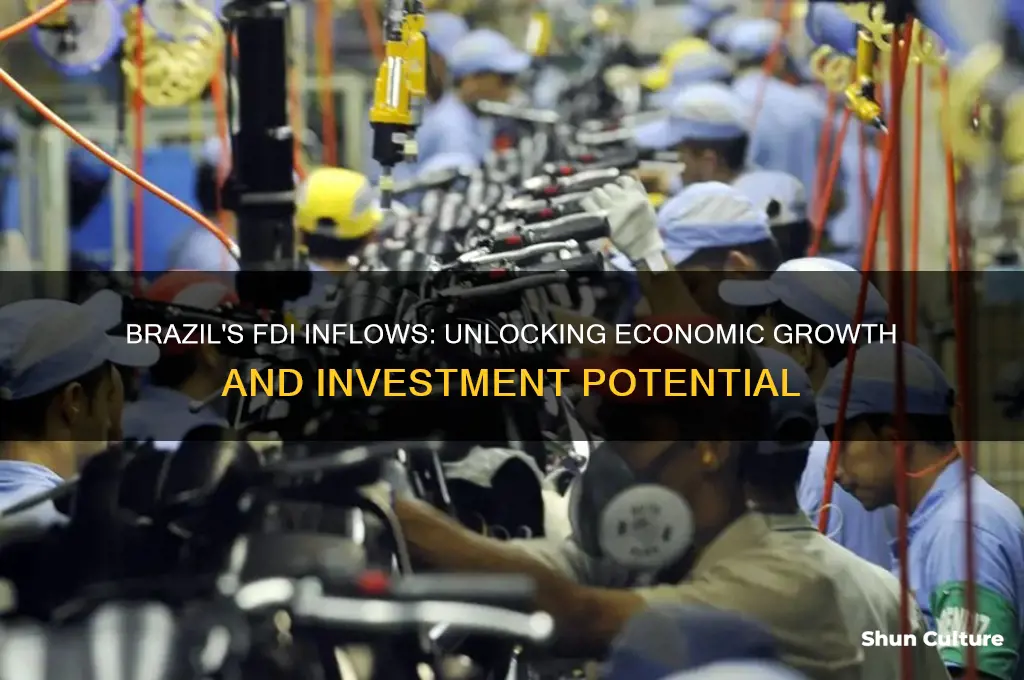 how much money does brazil get from fdi
