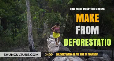 Brazil's Deforestation Profits: Uncovering the Financial Impact of Forest Loss