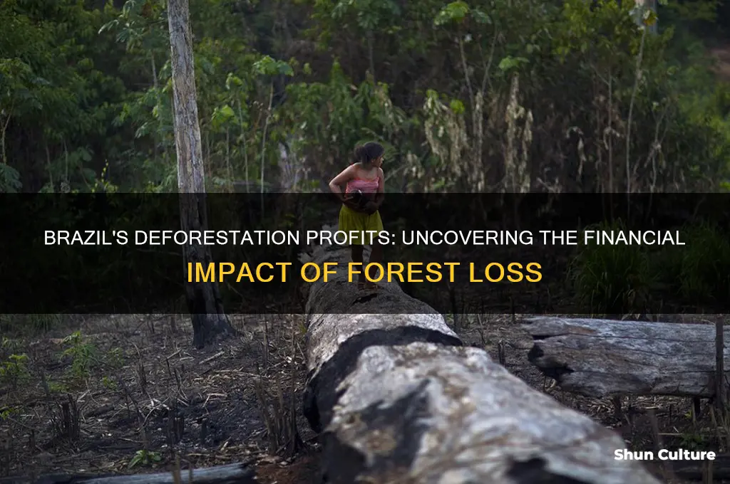 how much money does brazil make from deforestation
