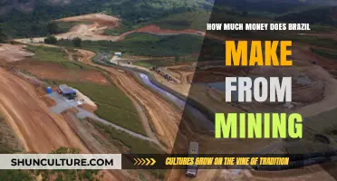 Brazil's Mining Revenue: Uncovering the Economic Impact and Profits