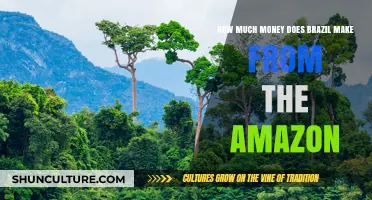 Brazil's Amazon Revenue: Uncovering the Economic Impact of the Rainforest