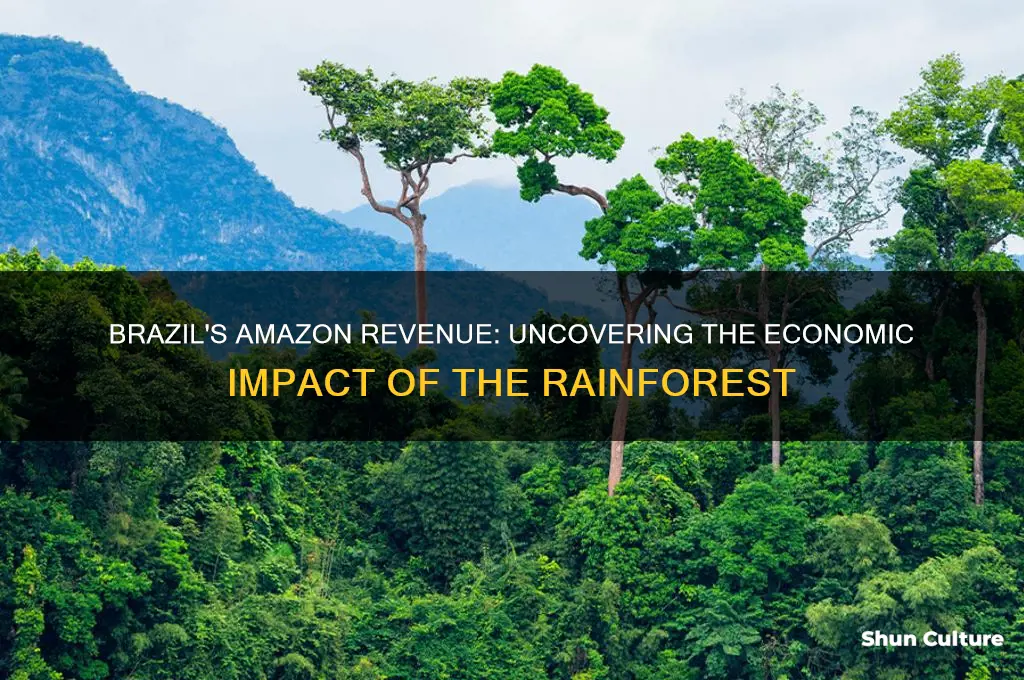 how much money does brazil make from the amazon