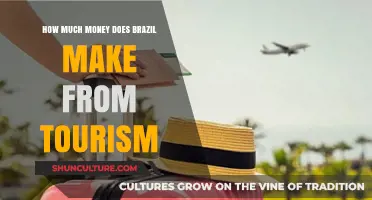 Brazil's Tourism Revenue: Unveiling the Economic Impact of Travel