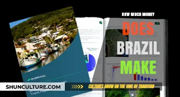 Brazil's Economic Power: Unveiling the Nation's Annual Revenue Streams