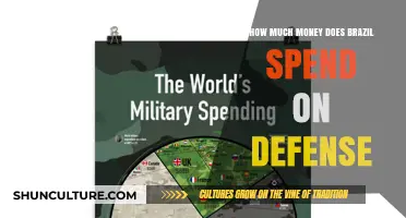 Brazil's Defense Spending: Budget Allocation and Military Investment Insights
