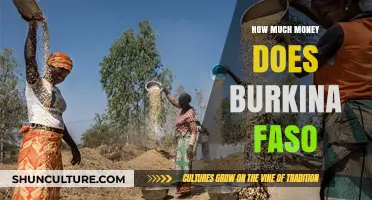 Exploring Burkina Faso's Economic Landscape: A Comprehensive Overview