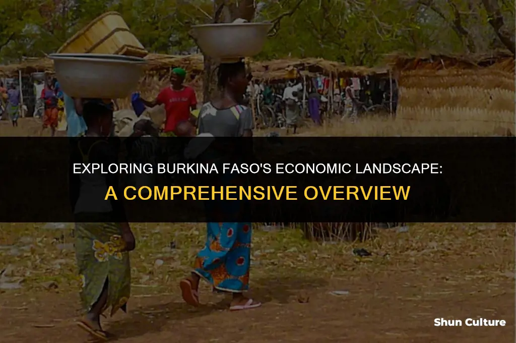how much money does burkina faso