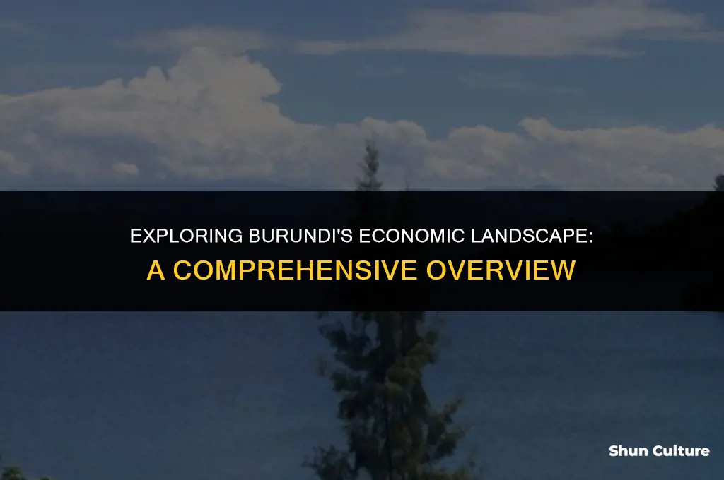 how much money does burundi have