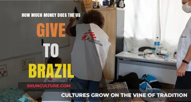 US Financial Aid to Brazil: Understanding the Economic Relationship