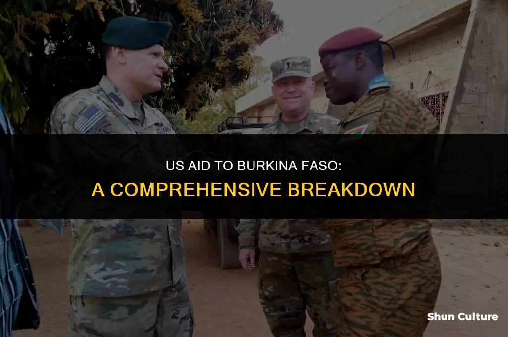how much money does the us send to burkina faso