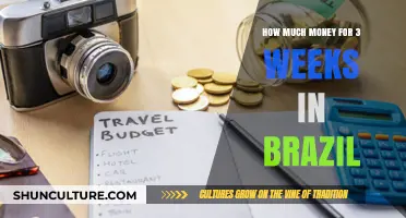 Budgeting for Brazil: 3-Week Travel Costs and Expenses Guide