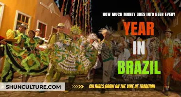 Brazil's Beer Economy: Annual Spending on Brews Revealed