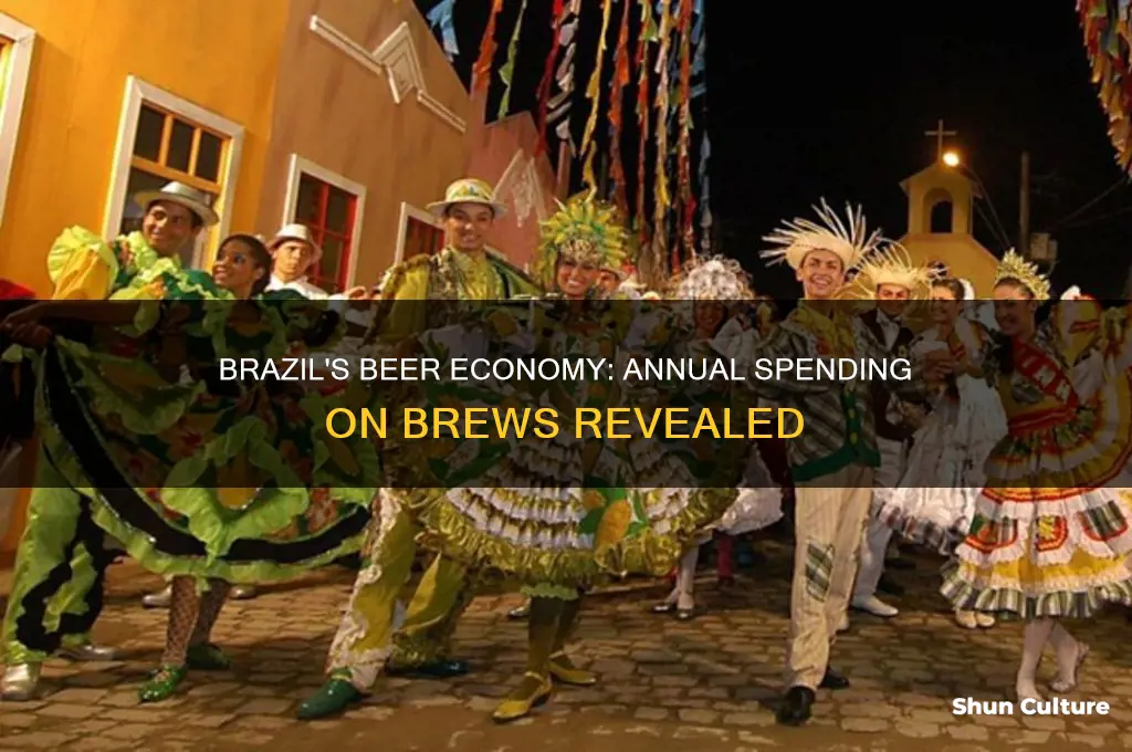 how much money goes into beer every year in brazil