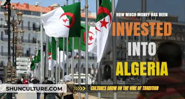 Algeria's Investment Boom: Tracking Global Capital Inflows and Impact