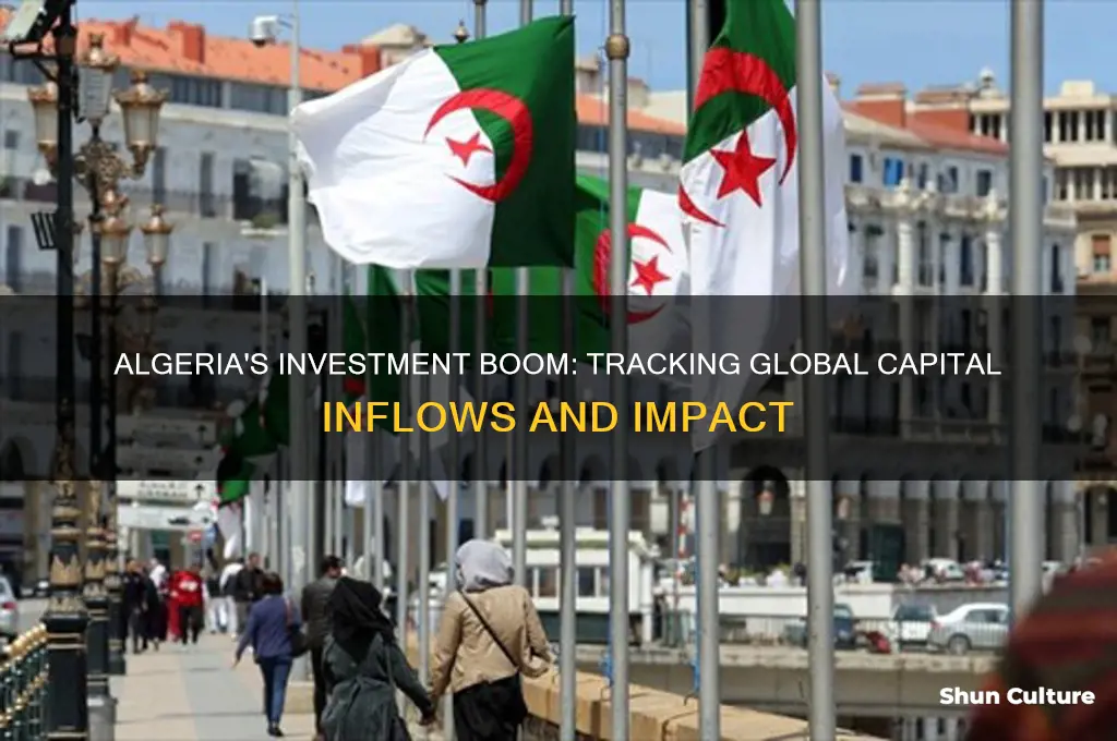 how much money has been invested into algeria