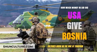 U.S. Aid to Bosnia: Financial Support and Impact Revealed