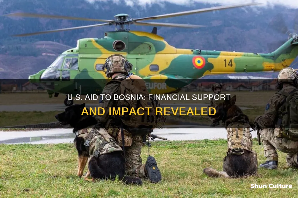 how much money in aid did usa give bosnia