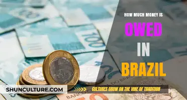 Brazil's Debt Crisis: Unveiling the Nation's Outstanding Financial Obligations