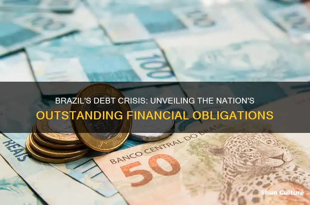 how much money is owed in brazil