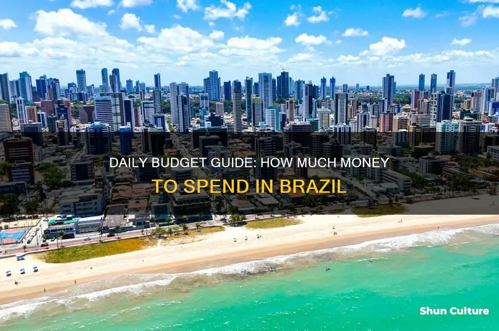 how much money per day in brazil