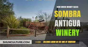 Sombra Antigua Winery Sales Revenue: A Comprehensive Financial Overview
