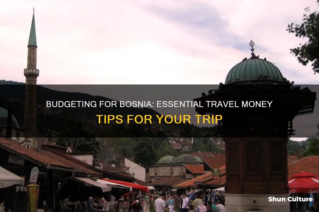 how much money should I bring to bosnia