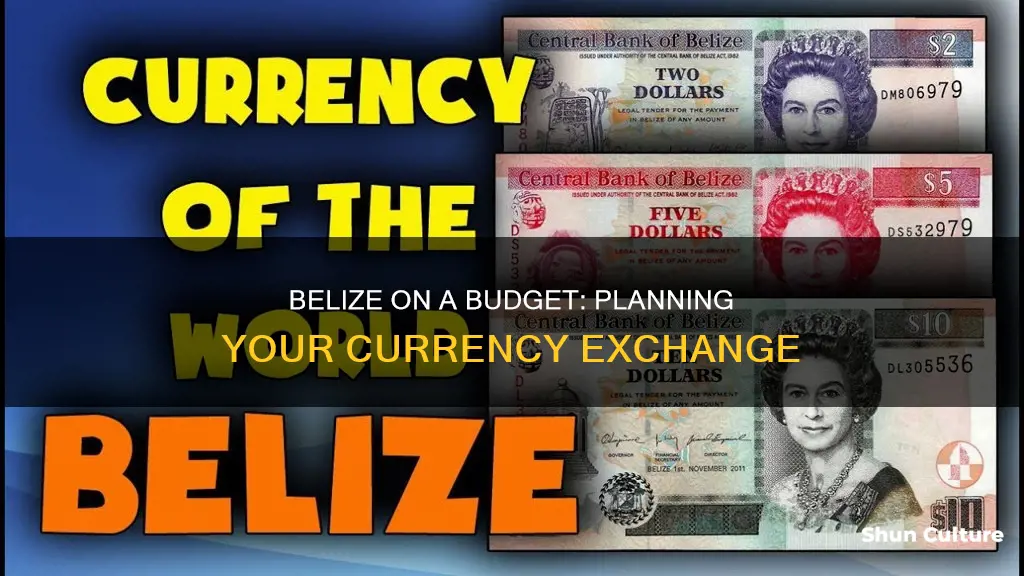 how much money should I exchange for belize