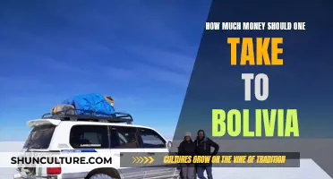 Essential Cash Planning for a Bolivian Adventure