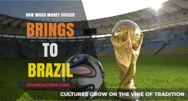 Soccer's Economic Impact: Brazil's Financial Gains from the Beautiful Game