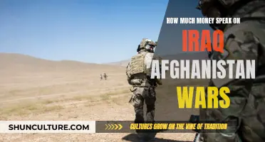 The Staggering Cost of America's Wars in Iraq and Afghanistan