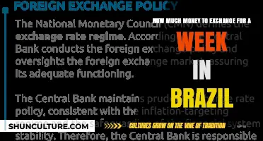 Smart Currency Exchange Tips for a Week-Long Brazil Adventure