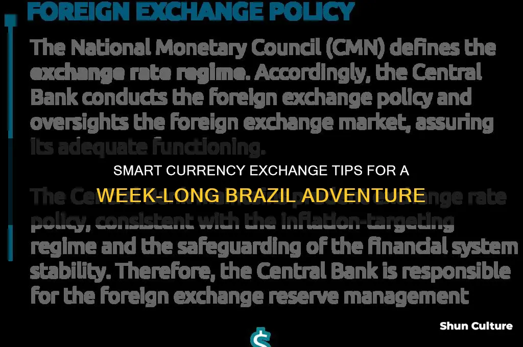 how much money to exchange for a week in brazil