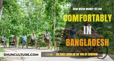 Living Comfortably in Bangladesh: A Practical Budget Guide
