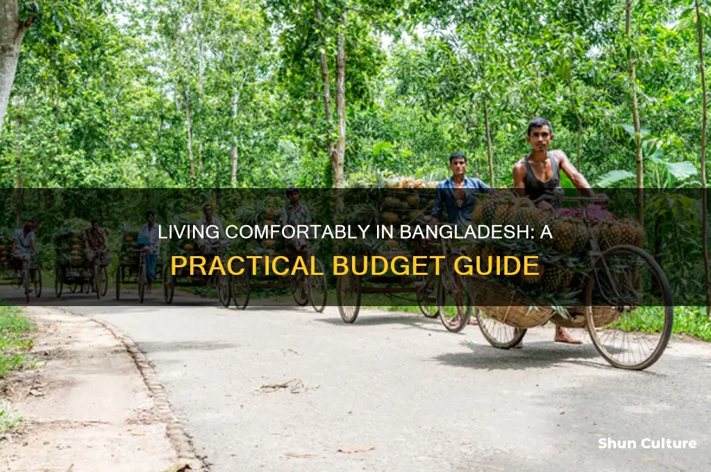 how much money to live comfortably in bangladesh