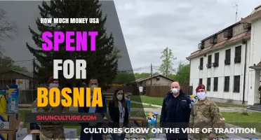 U.S. Financial Aid to Bosnia: A Comprehensive Spending Overview