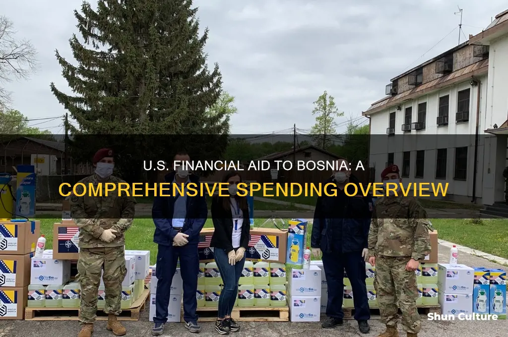 how much money usa spent for bosnia