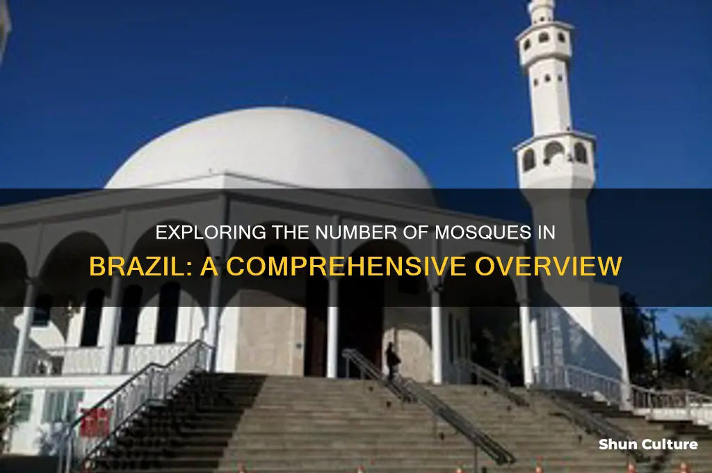 how much mosque in brazil