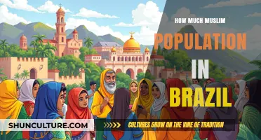 Brazil's Muslim Community: Size, Growth, and Cultural Impact Explored