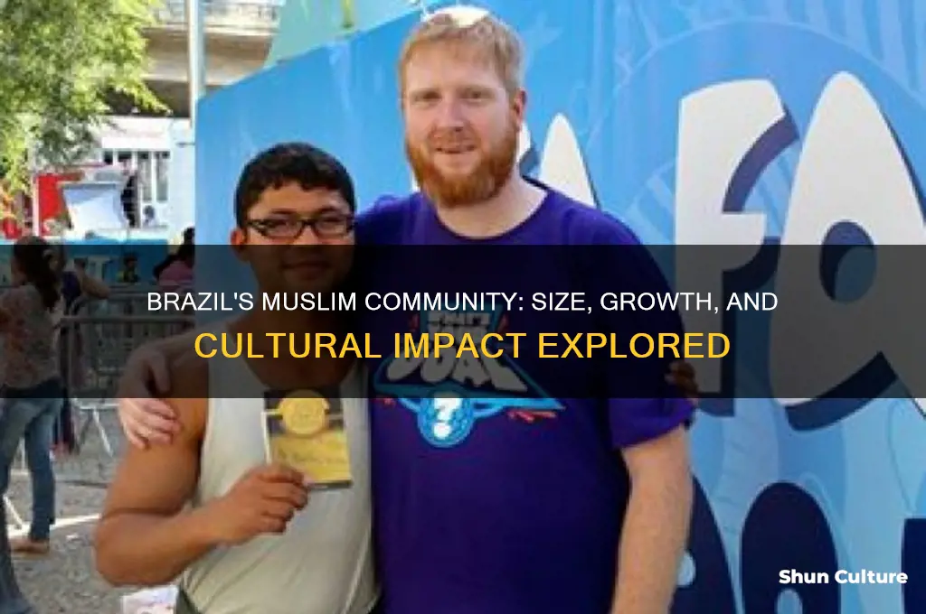 how much muslim population in brazil