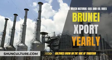 Brunei's Annual Oil and Gas Exports: A Comprehensive Overview